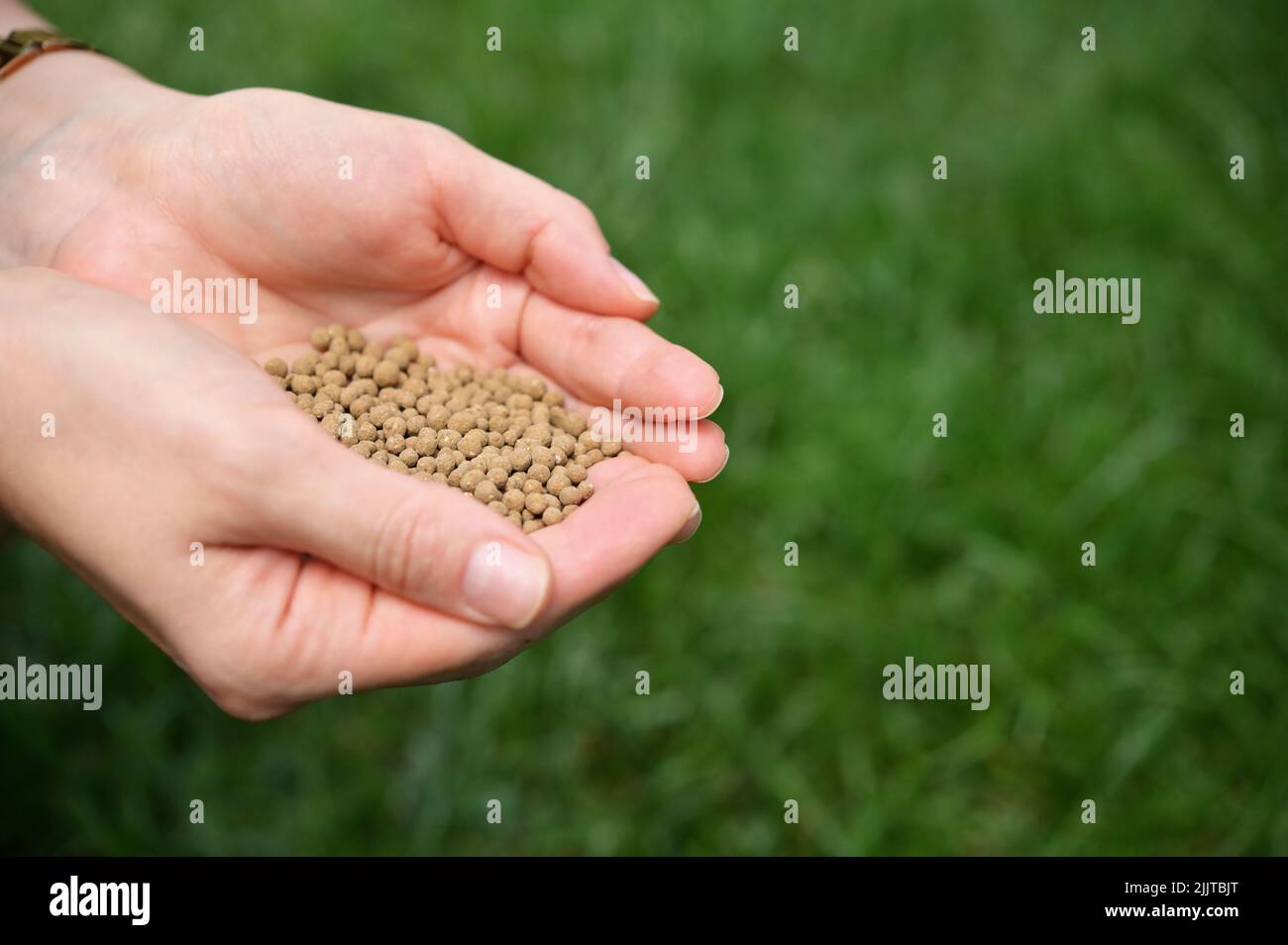 Gros plan Farmer mains épandage d'engrais organique universel Banque D'Images