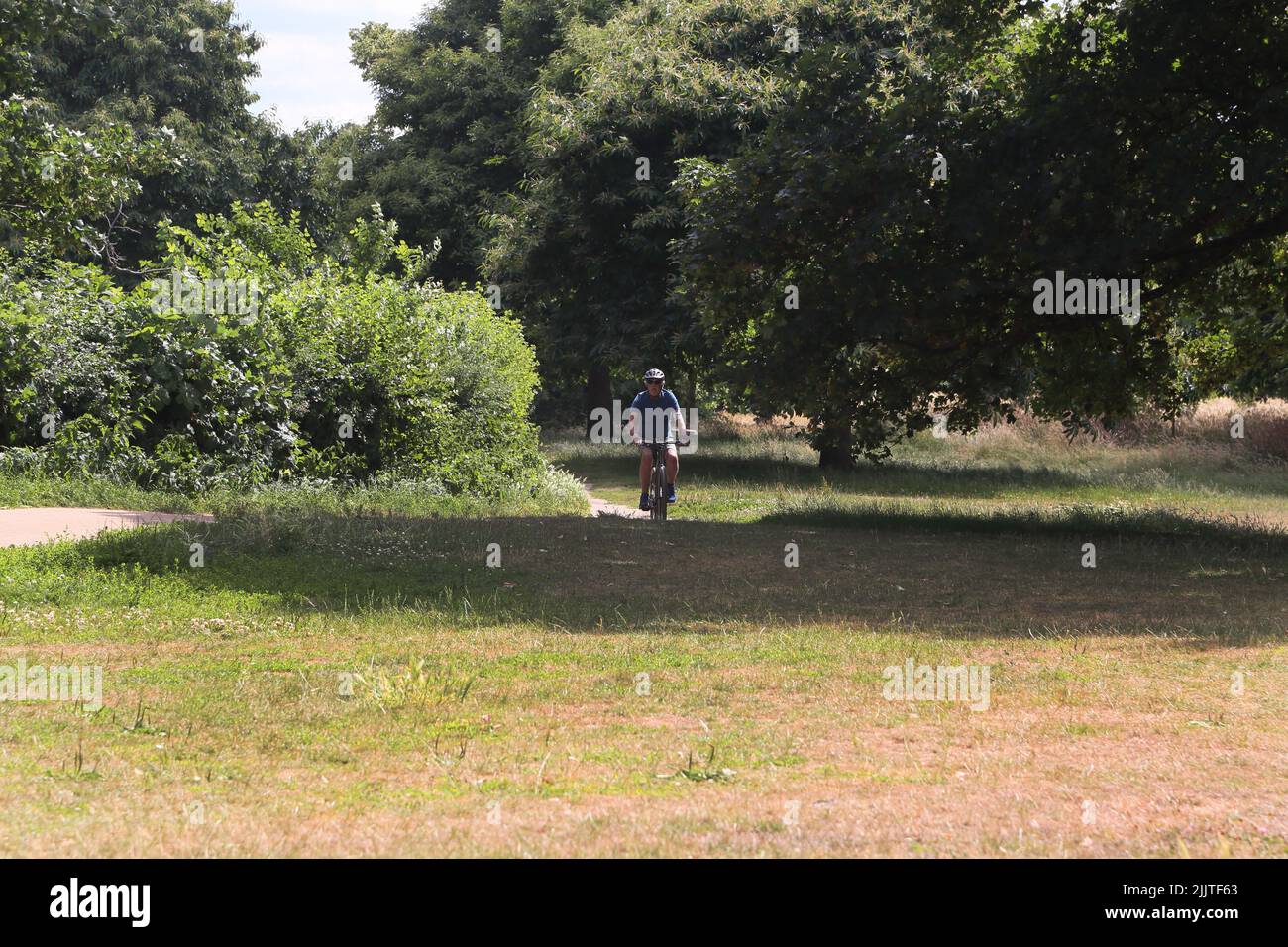 Man Riding Bicycle à travers Nonsuch Park Surrey Angleterre Banque D'Images