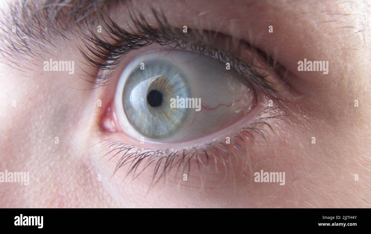 Gros plan d'un œil bleu clair humain Banque D'Images
