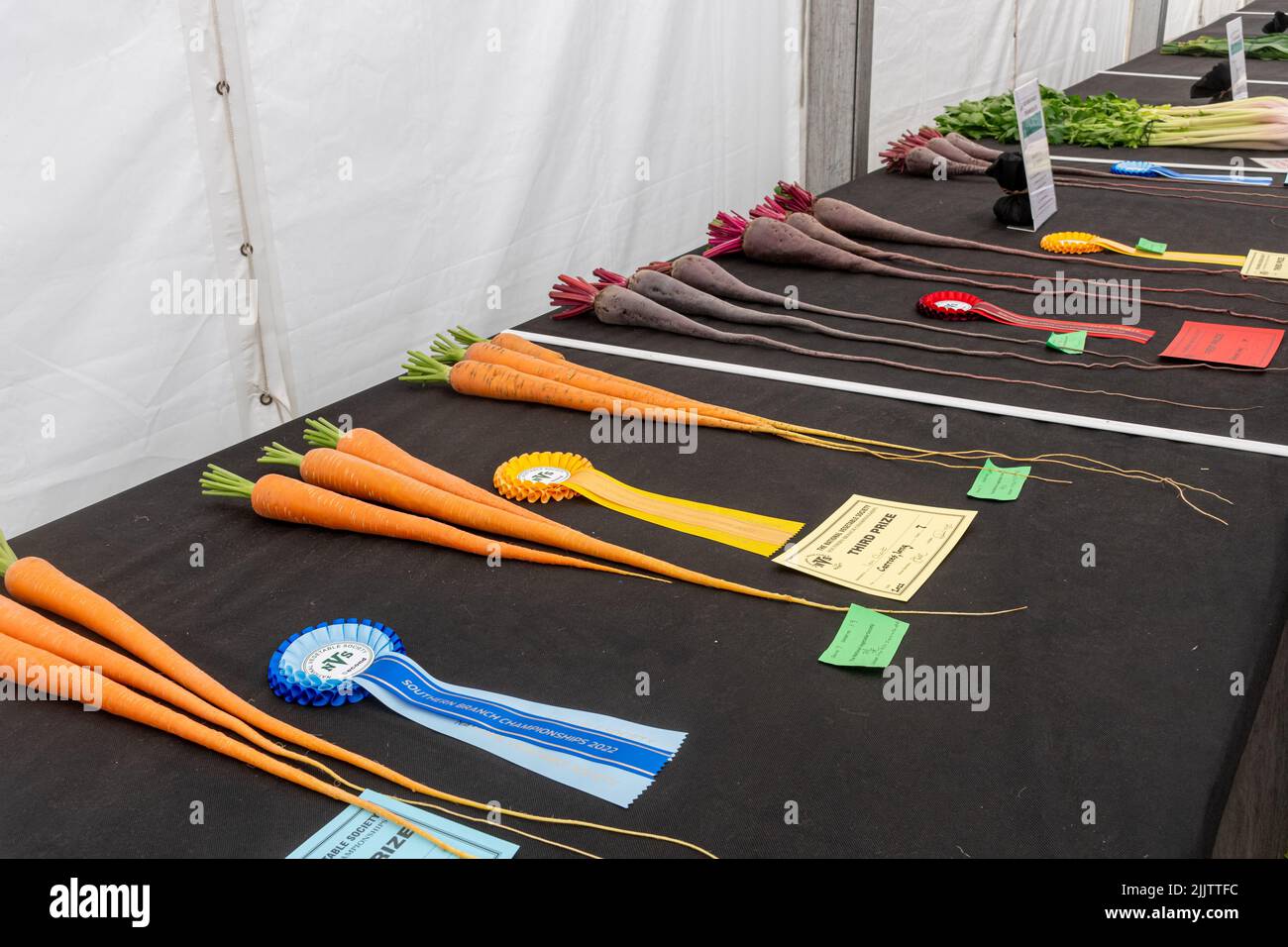 Le spectacle de légumes au New Forest and Hampshire County Show en juillet 2022, Angleterre, Royaume-Uni. Carottes et betteraves exposées. Banque D'Images