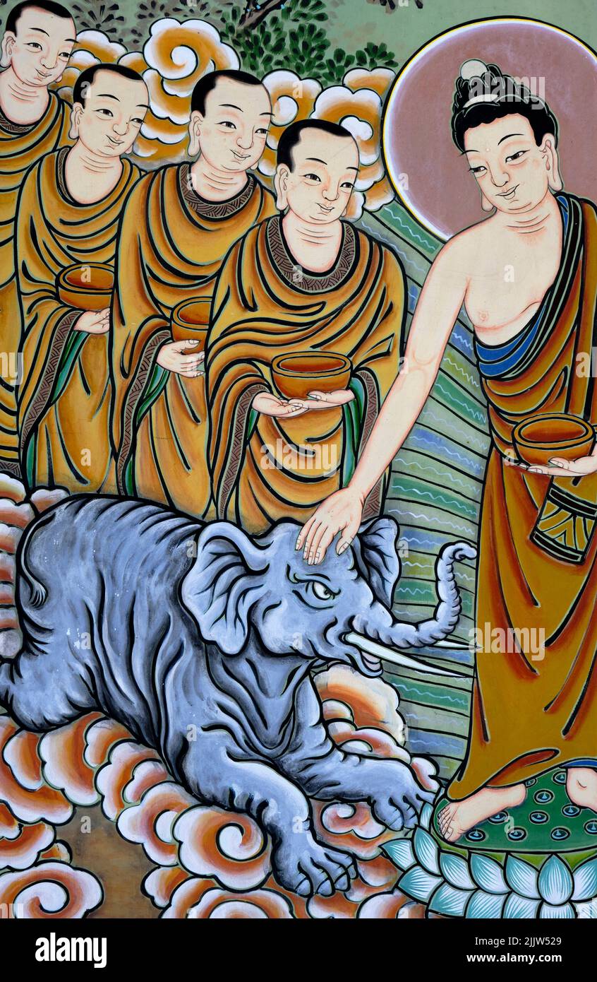 Corée du Sud, Séoul, district de Jongno-gu, le temple de Jogyesa fondé en 1395 est le siège de l'ordre de Jogye du bouddhisme coréen, détails de la douleur extérieure Banque D'Images