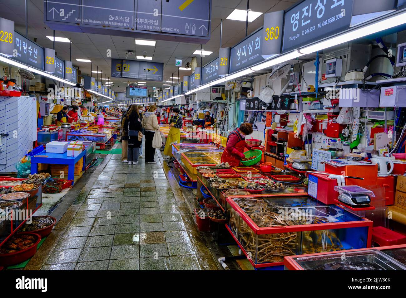 Corée du Sud, province de Gyeongsang Sud, Busan, district de Jung-gu, marché du poisson et des fruits de mer Banque D'Images