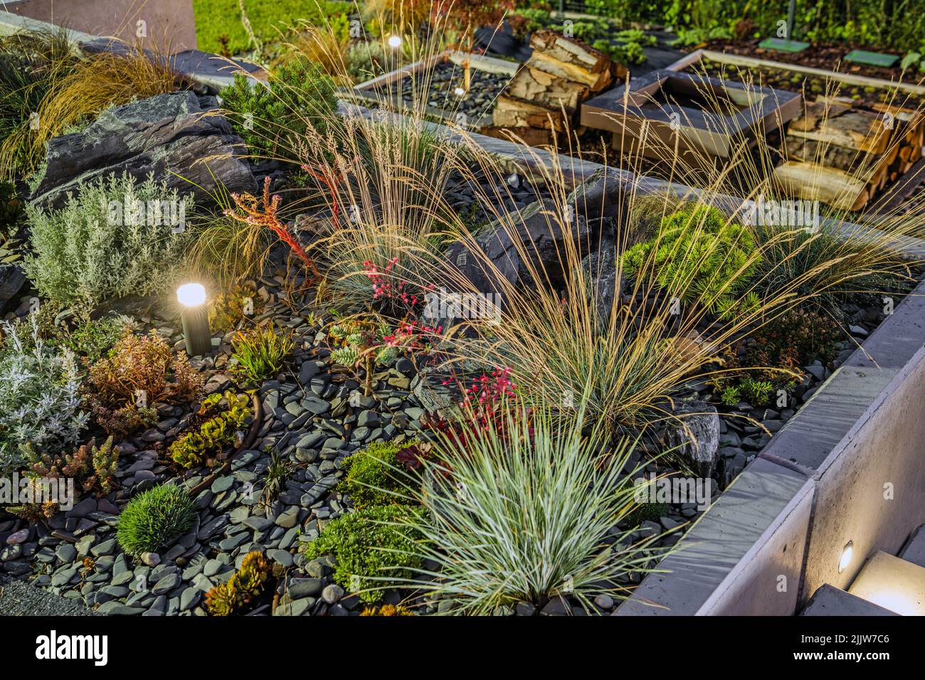 Magnifique jardin de Rockery éclairé la nuit par un éclairage extérieur LED. Foyer extérieur à l'arrière-plan. Banque D'Images