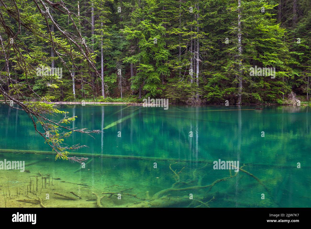 Petit lac alpin turquoise réflexions. Crystal Clear Water et la Forest Line. Carinthie Autriche, Europe. Banque D'Images