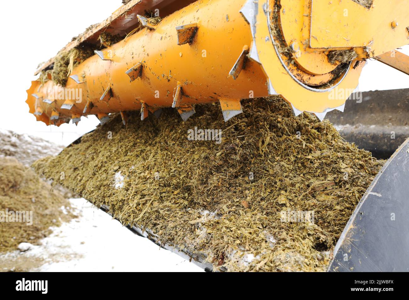 Godet avec fraise mobile Emily. Sélection de l'ensilage et du fourrage dans les tranchées d'ensilage et de fourrage. Fourrage pour animaux en hiver Banque D'Images