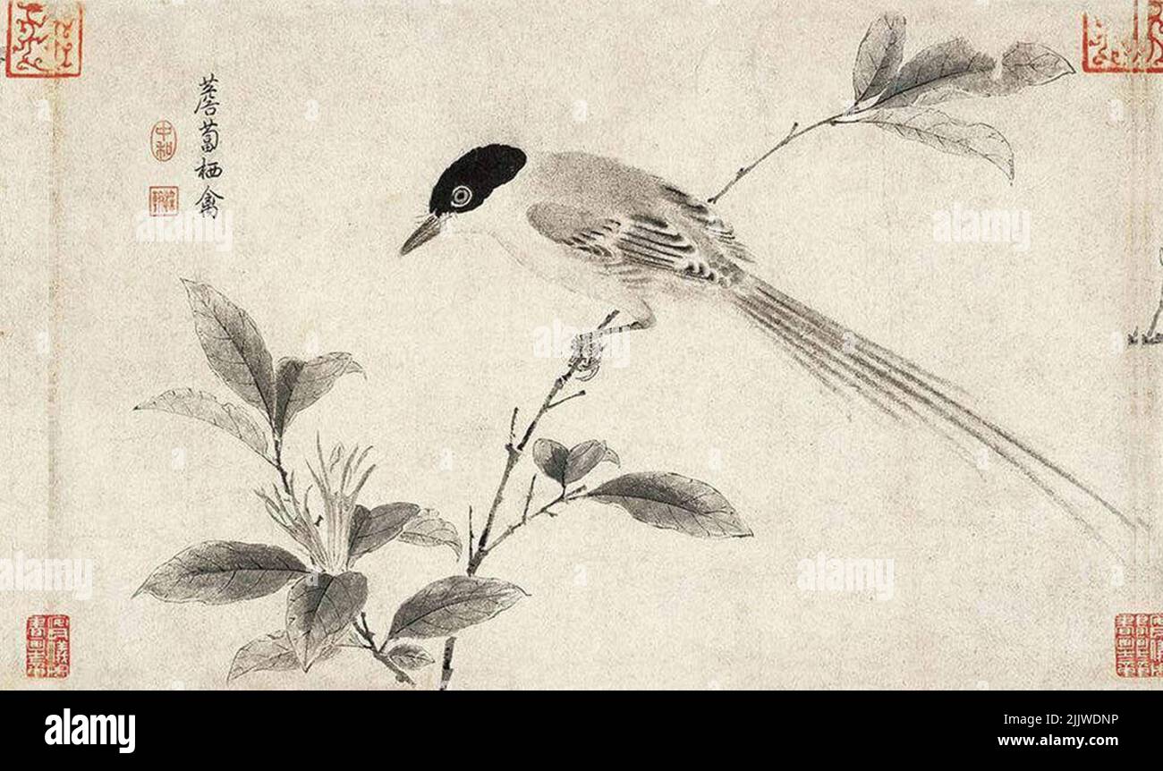 Des oiseaux merveilleux dans des peintures chinoises anciennes Banque D'Images