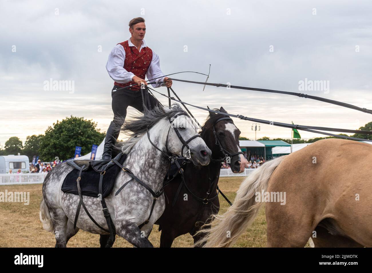 Atkinson action Horses au New Forest and Hampshire County Show en juillet 2022, Angleterre, Royaume-Uni. Ben Atkinson, équitation romaine avec une équipe de chevaux Banque D'Images