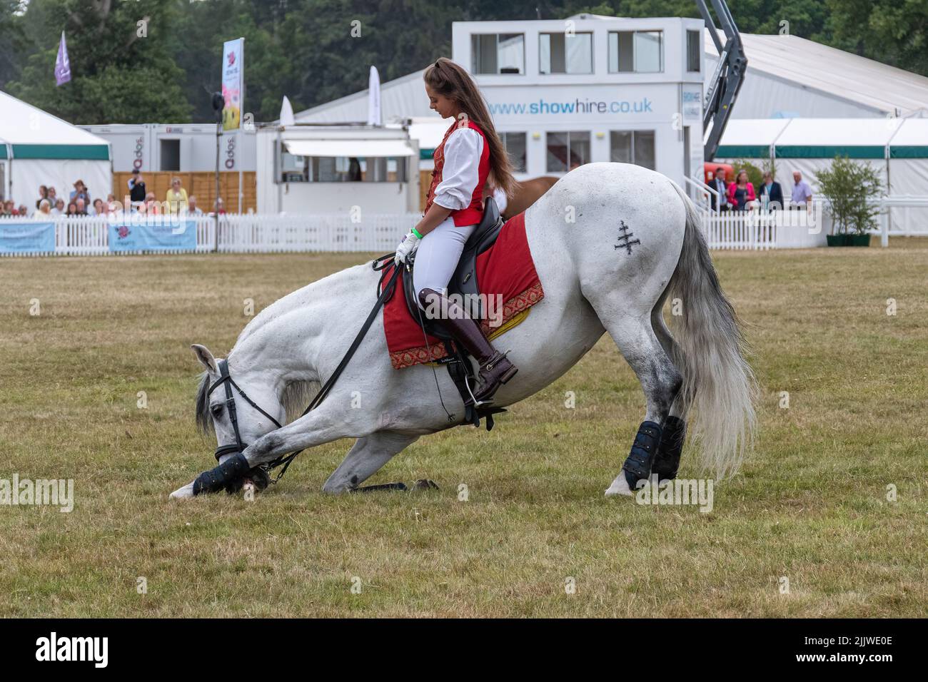 Atkinson action Horses au New Forest and Hampshire County Show en juillet 2022, Angleterre, Royaume-Uni Banque D'Images