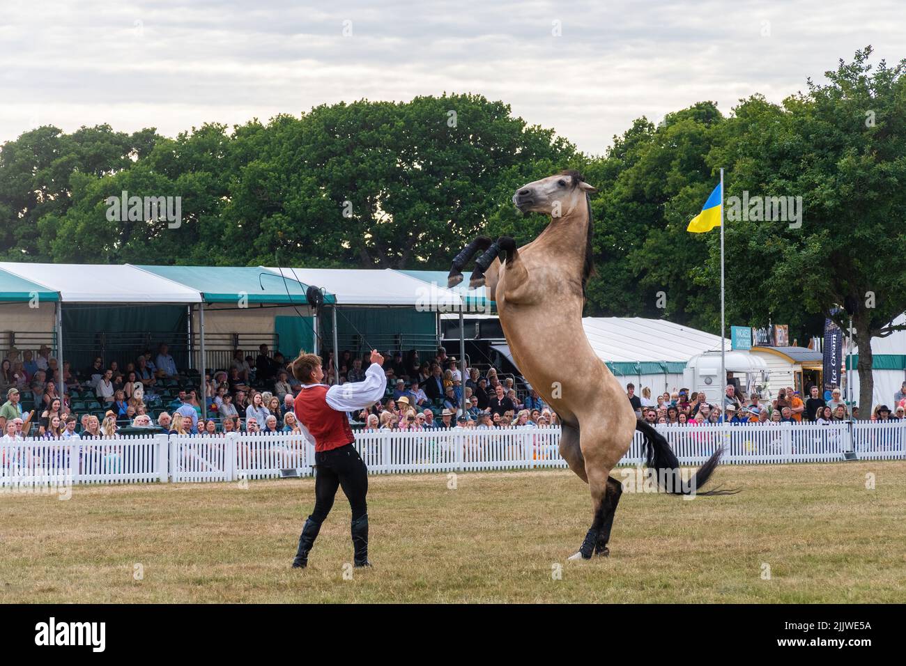 Atkinson action Horses au New Forest and Hampshire County Show en juillet 2022, Angleterre, Royaume-Uni Banque D'Images