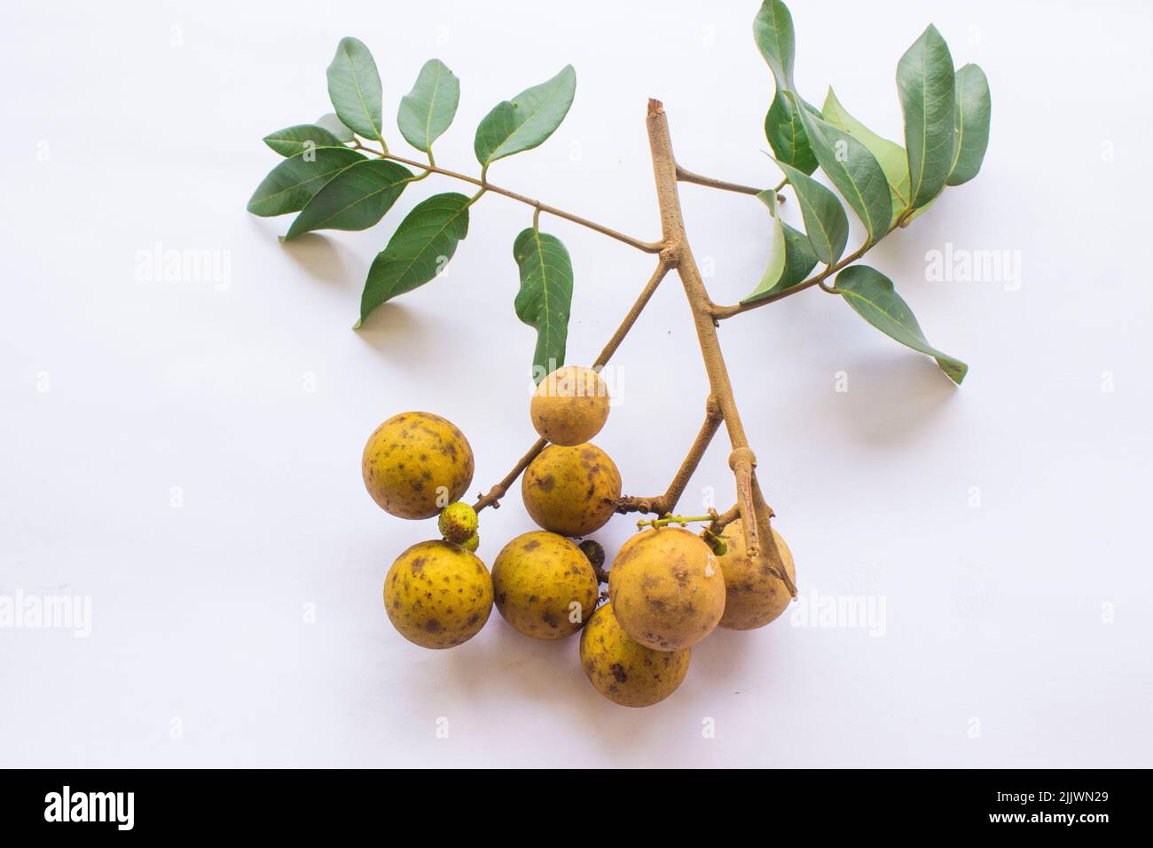 fruits de longan. Longan frais ou kelengkeng isolat sur fond noir Banque D'Images