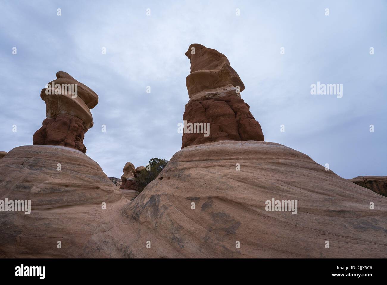 De grandes formations rocheuses de neige au Devils Garden, dans le Grand Staircase Escalante National Monument Banque D'Images
