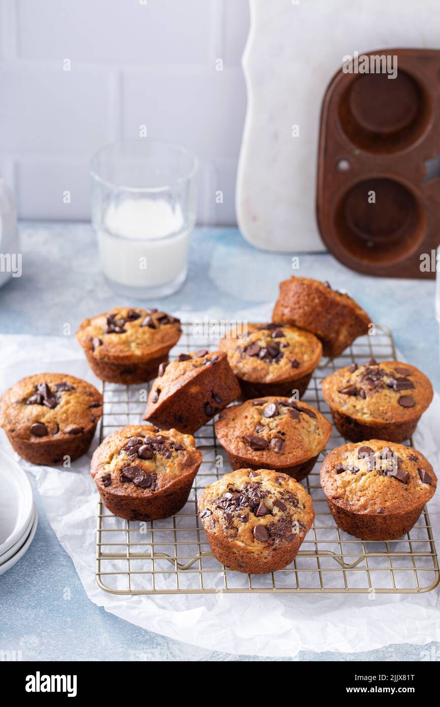 Muffins aux pépites de chocolat à la banane sur une grille de cuisson, idée de petit déjeuner ou d'en-cas Banque D'Images