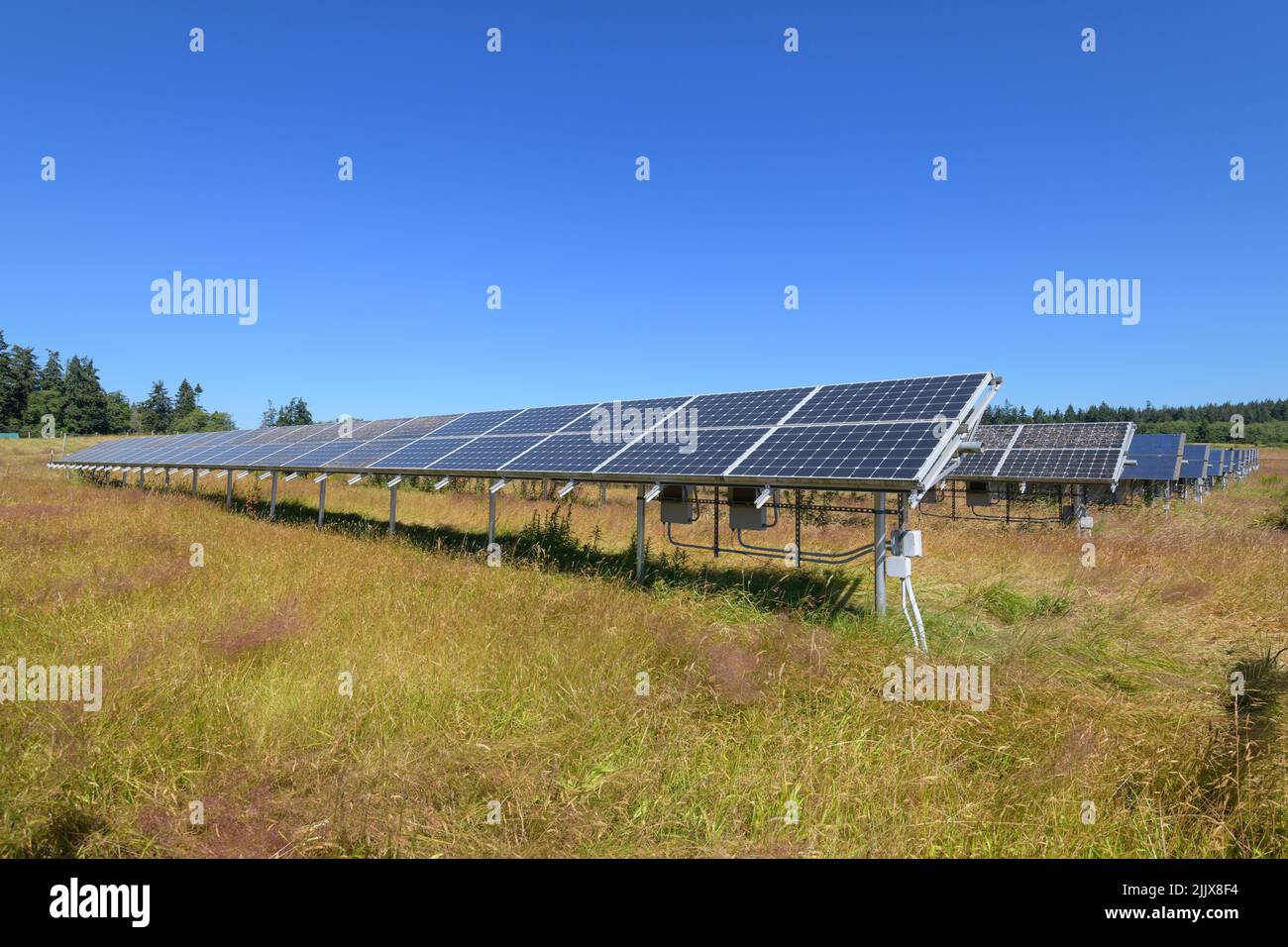 Panneau solaire dans le champ de ferme sous ciel bleu avec un mélange de panneaux propres et sales Banque D'Images
