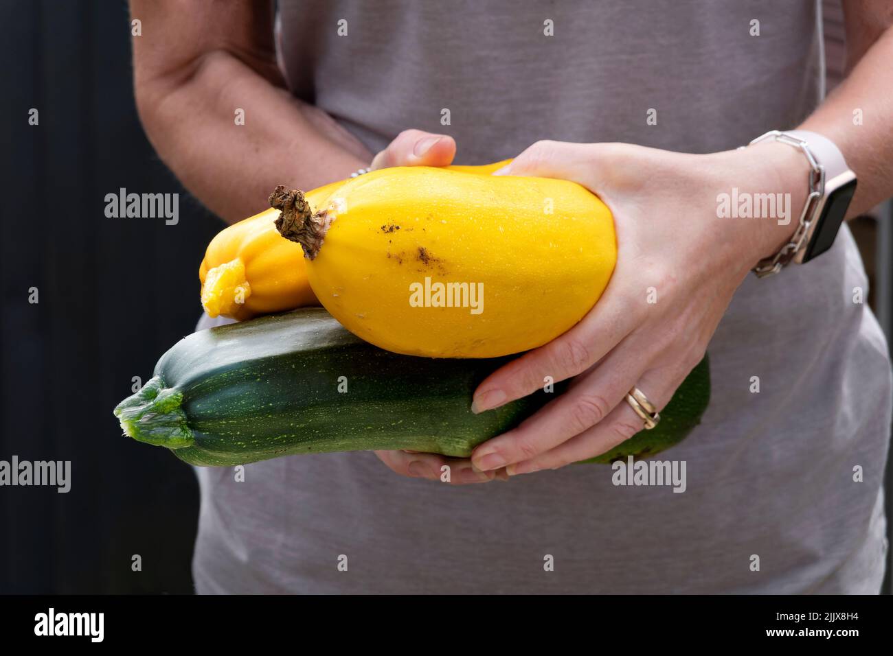 Une jardinière féminine tient des courgettes vertes et dorées ou des courgettes dans ses mains. Les légumes ont été cultivés à la maison dans son jardin et sont fraîchement cueillis Banque D'Images