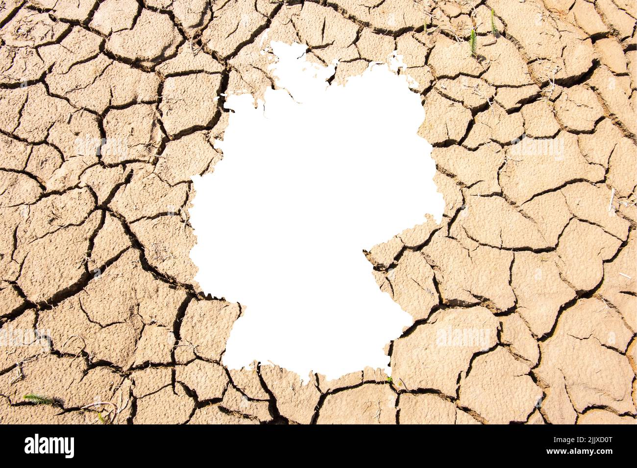 Hitze, Trockenheit und Wassermangel en Allemagne Banque D'Images