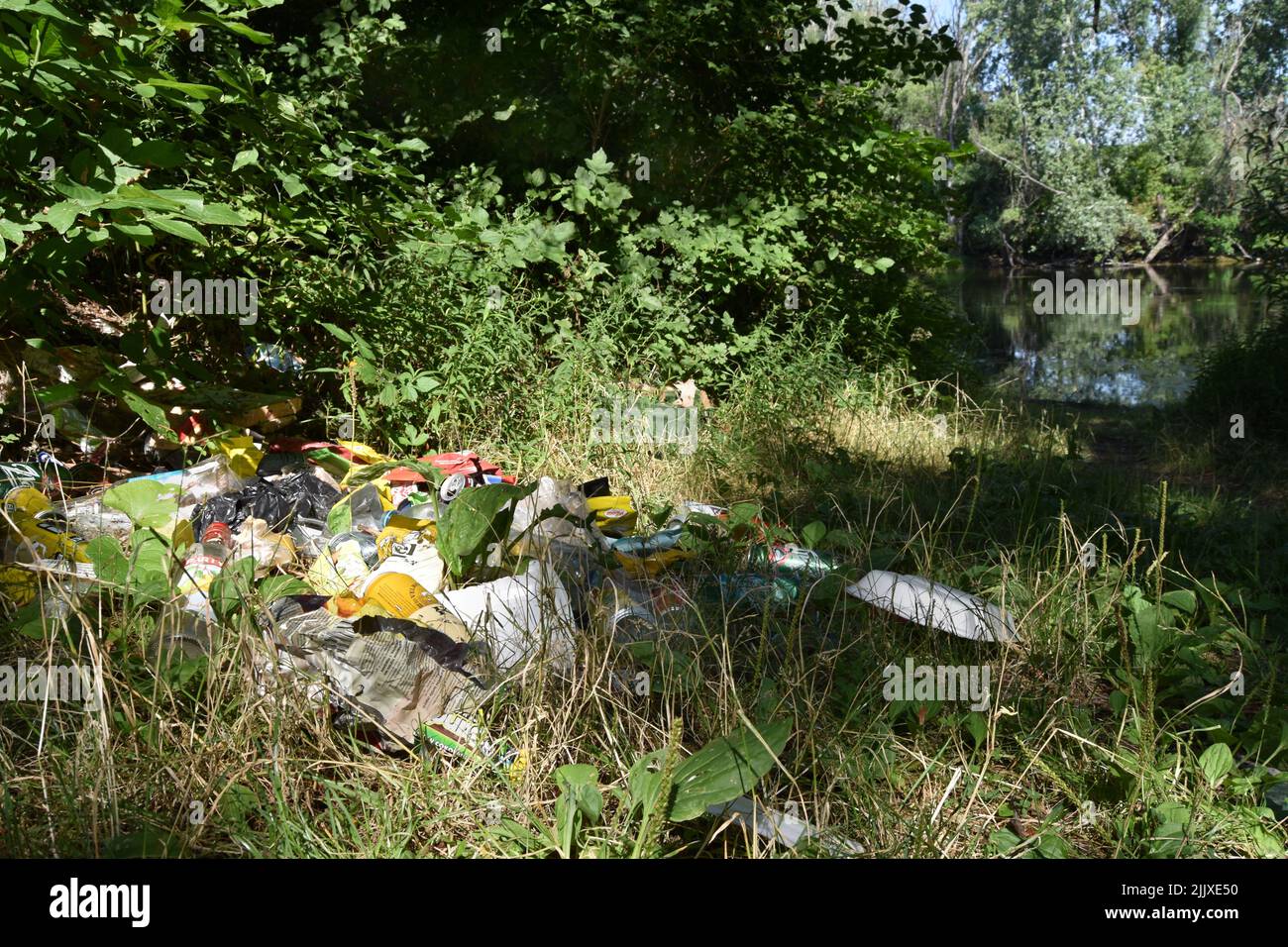 Des déchets près de la rivière Klátovská Rameno Banque D'Images