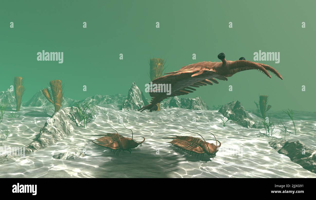 Anomalocaris et trilobites dans la mer Banque D'Images