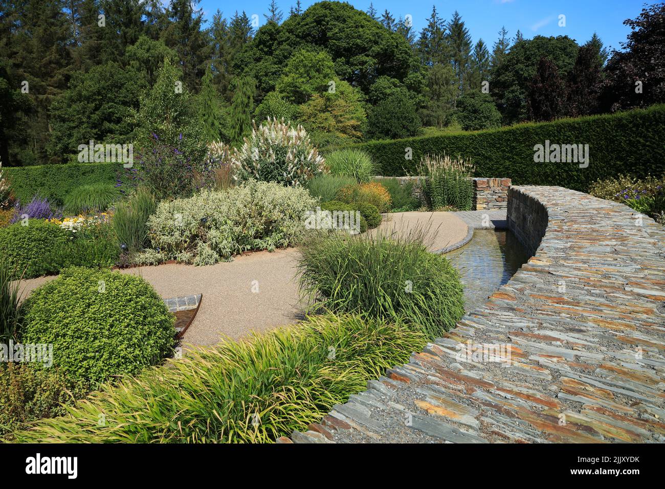 RHS Rosemoor 'Cool Garden', North Devon, Angleterre, Royaume-Uni Banque D'Images