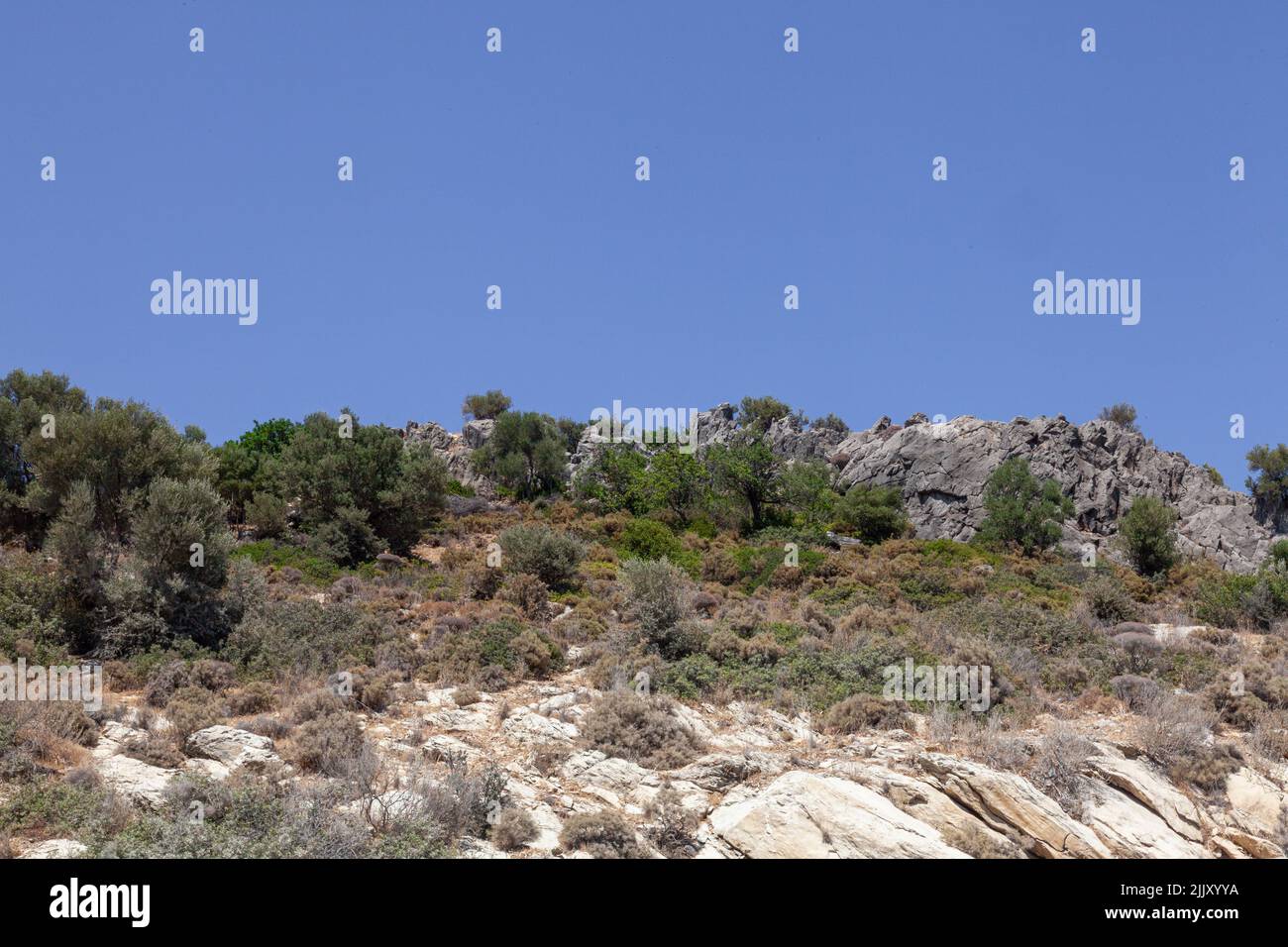 Paysage avec colline rocheuse et arbres sauvages. Colline et ciel bleu sans nuages. Banque D'Images