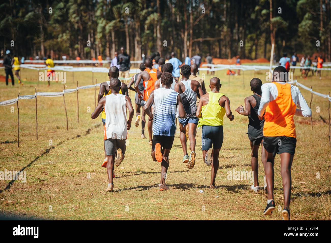 Courses de course au Kenya, les meilleurs athlètes et athlètes d'endurance du monde participent à des courses de cross-country. Photo en cours d'exécution Banque D'Images