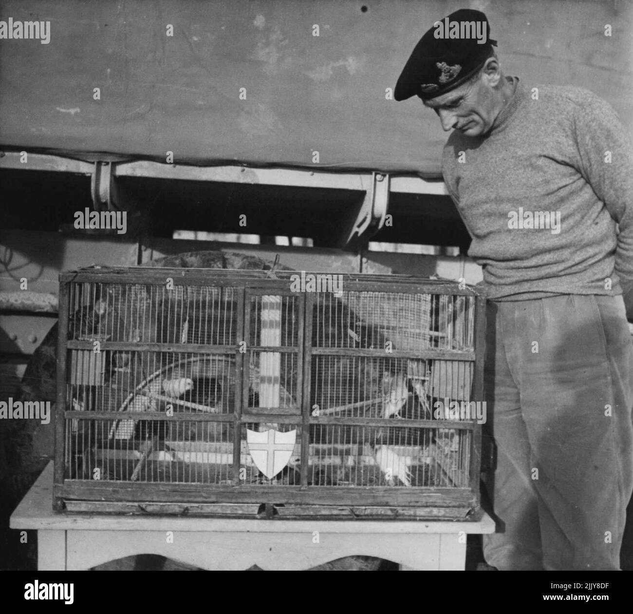 Monty's Mascottes: Le général Montgomery avec des oiseaux de cage portant la huitième crête de l'Armée, à l'extérieur de sa cantine mobile ***** . Le général Montgomery porte avec lui des souvenirs vivants de ses campagnes en Sicile et en Italie. Au cours de ses moments de reines, il apprécie la compagnie de Canaries de Sicile et d'oiseau-amour d'Italie. 13 décembre 1943. (Photo de Fox photos). Banque D'Images