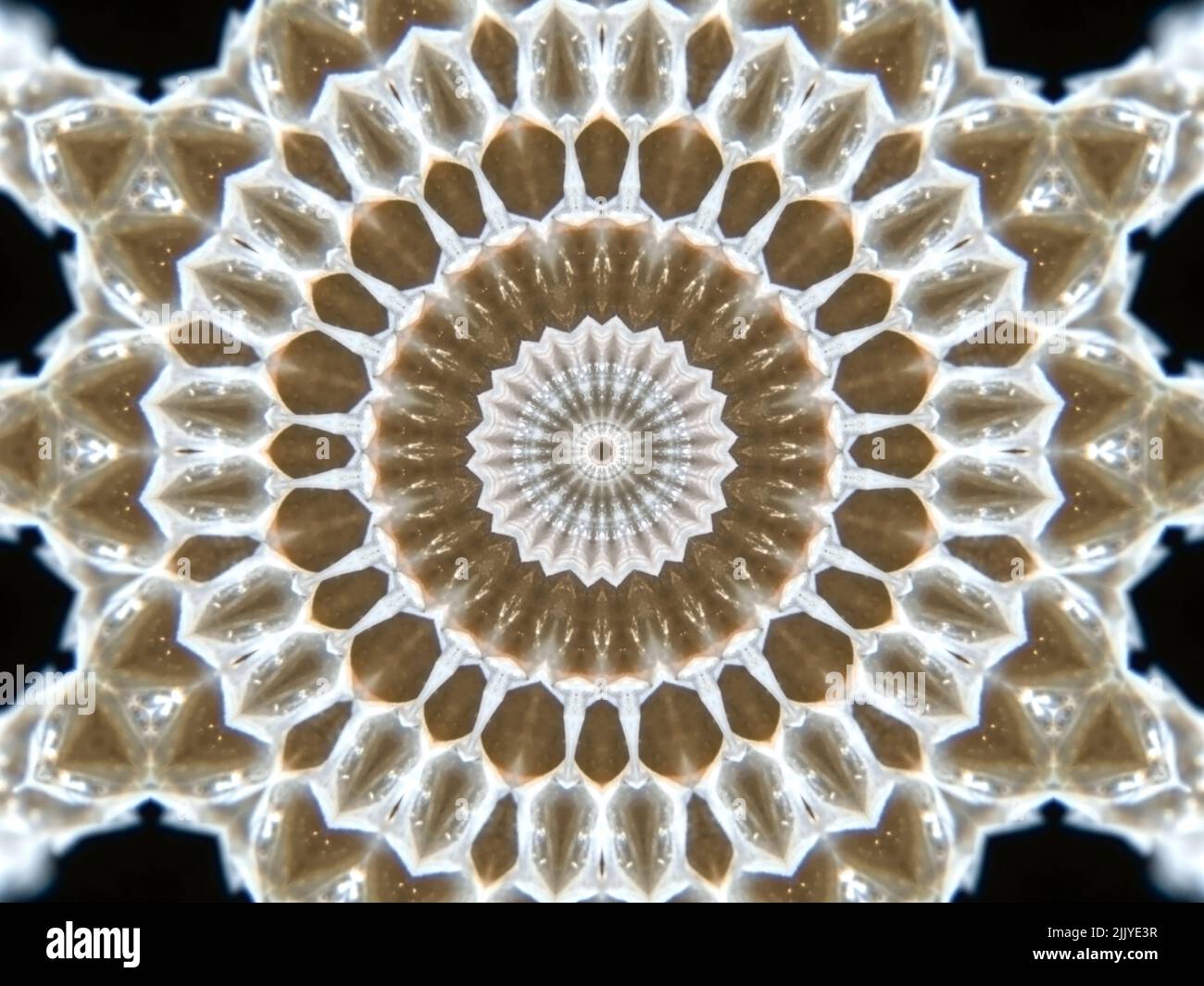Un patter abstrait fait d'appliquer la symétrie fractale à une photo de peau de serpent. Banque D'Images