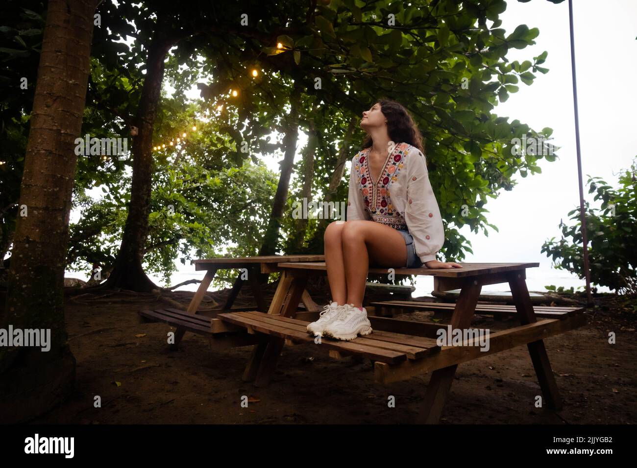 femme assise à une table entourée de lumières et de nature Banque D'Images