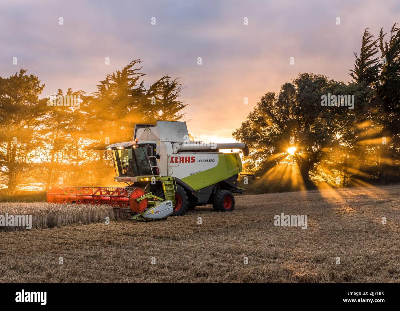 Ballinacurra, Cork, Irlande. 28th juillet 2022. L'entrepreneur Michael Holland récolte du blé d'hiver en fin de soirée sur la ferme d'Alan Navratil à Ballinacurra, Co. Cork, Irlande. - Crédit; David Creedon / Alamy Live News Banque D'Images