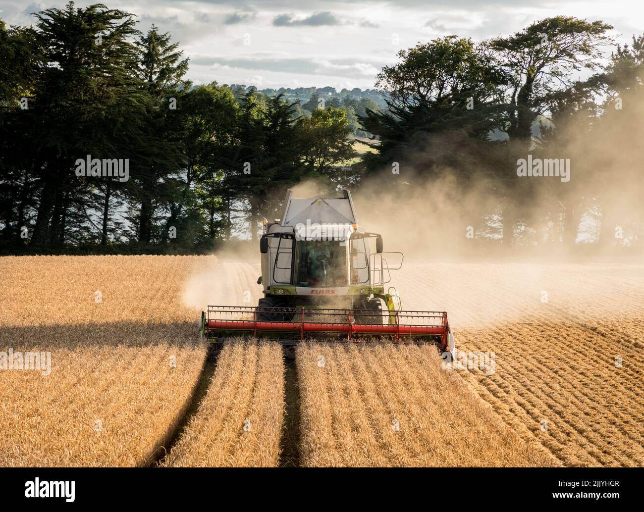 Ballinacurra, Cork, Irlande. 28th juillet 2022. L'entrepreneur Michael Holland récolte du blé d'hiver en fin de soirée sur la ferme d'Alan Navratil à Ballinacurra, Co. Cork, Irlande. - Crédit; David Creedon / Alamy Live News Banque D'Images