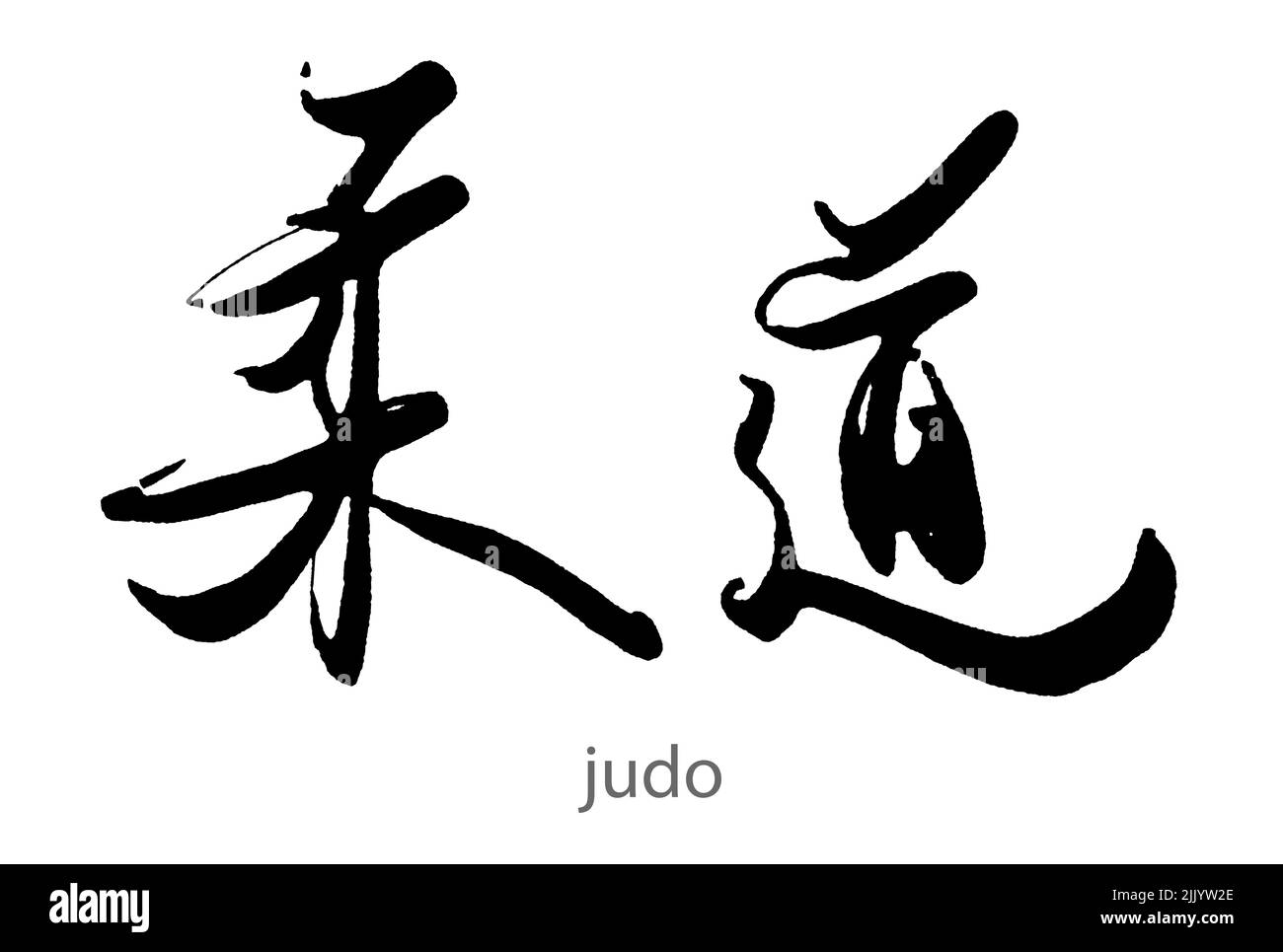 Calligraphie dessinée à la main de judo sur fond blanc, rendu 3D Banque D'Images