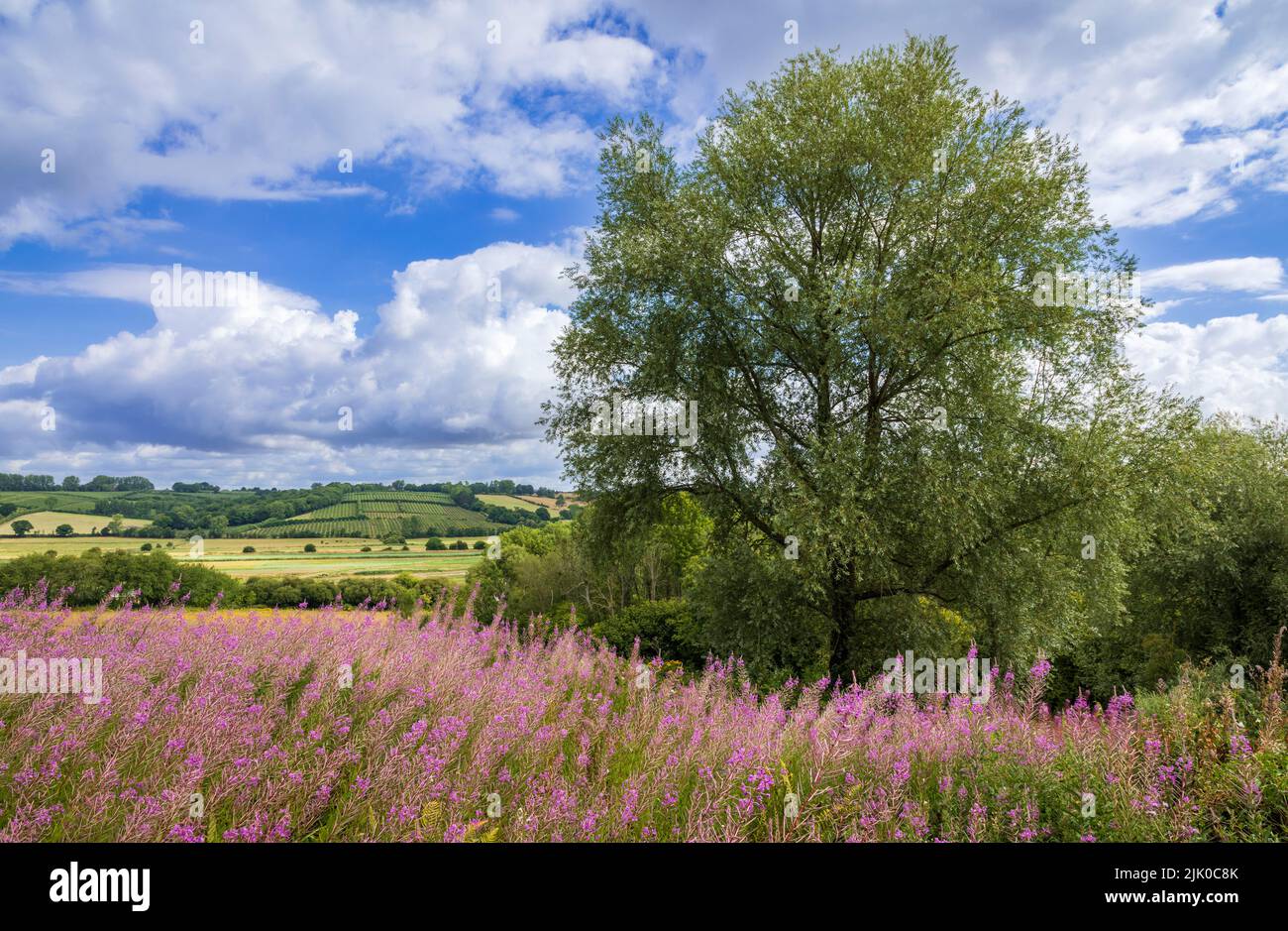 Vue magnifique sur la vallée de Brede depuis les collines du haut weald est Sussex sud-est de l'Angleterre Banque D'Images