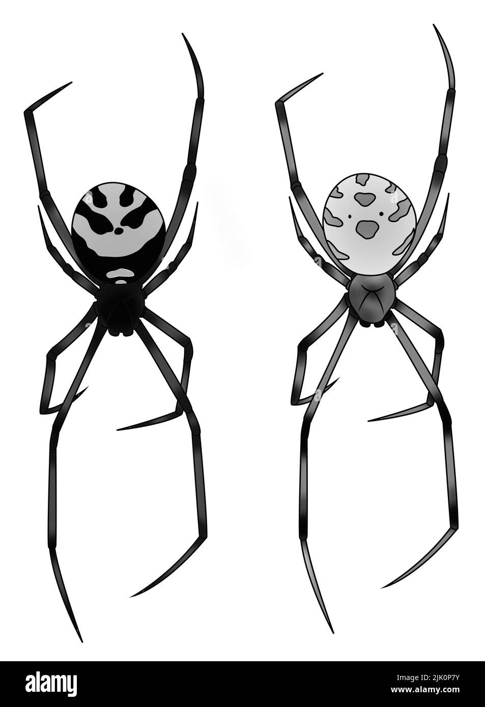 illustration d'araignée noire pour tatouage Banque D'Images