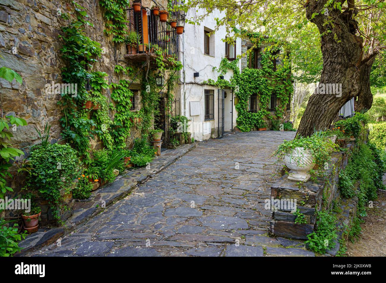 Belles vieilles maisons couvertes de lierre dans le village médiéval. Patones de Arriba Madrid. Espagne. Banque D'Images