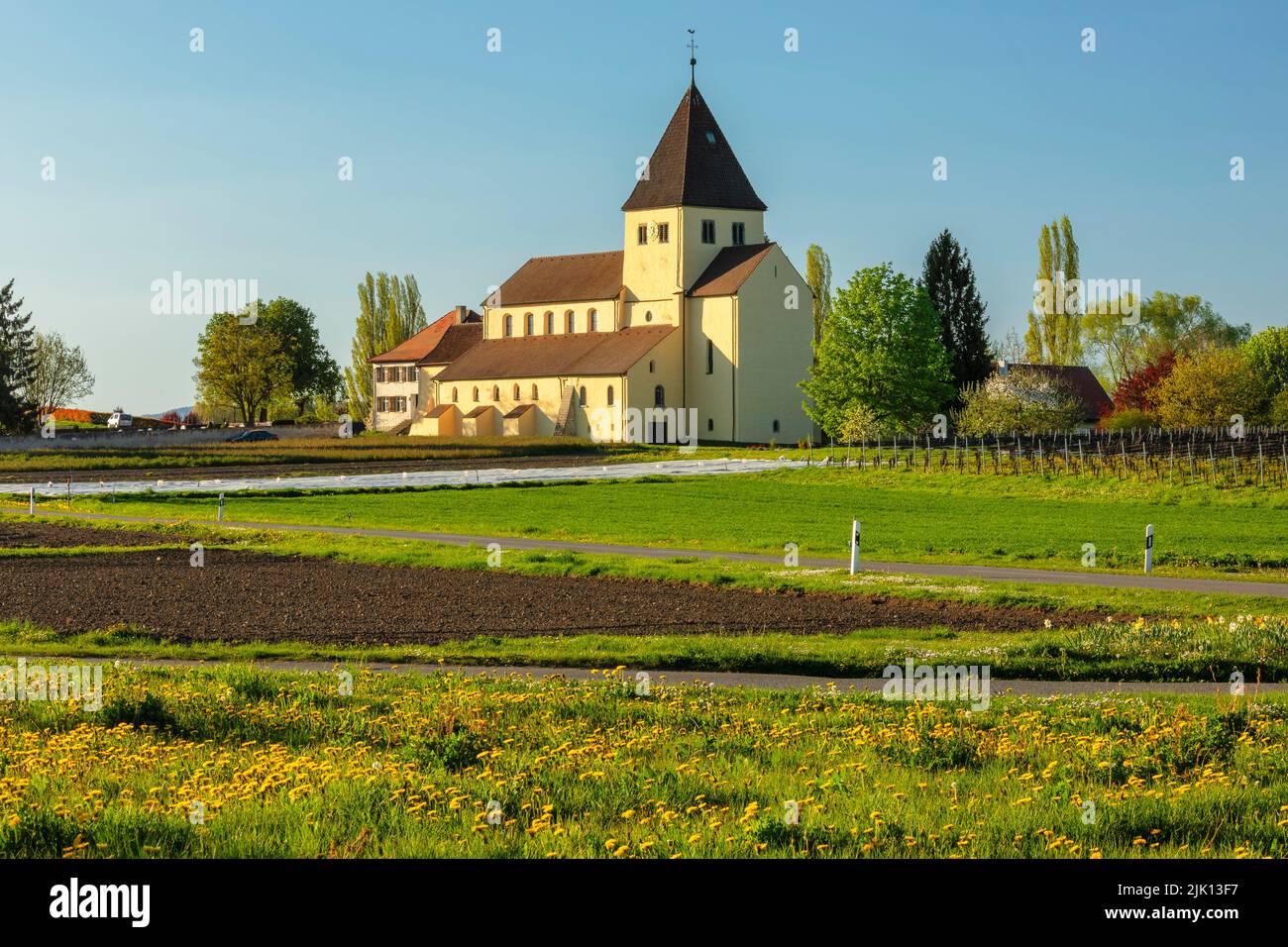 Église Saint-Georg, Oberzell, site classé au patrimoine mondial de l'UNESCO, île de Reichenau, lac de Constance, Bade-Wurtemberg, Allemagne, Europe Banque D'Images