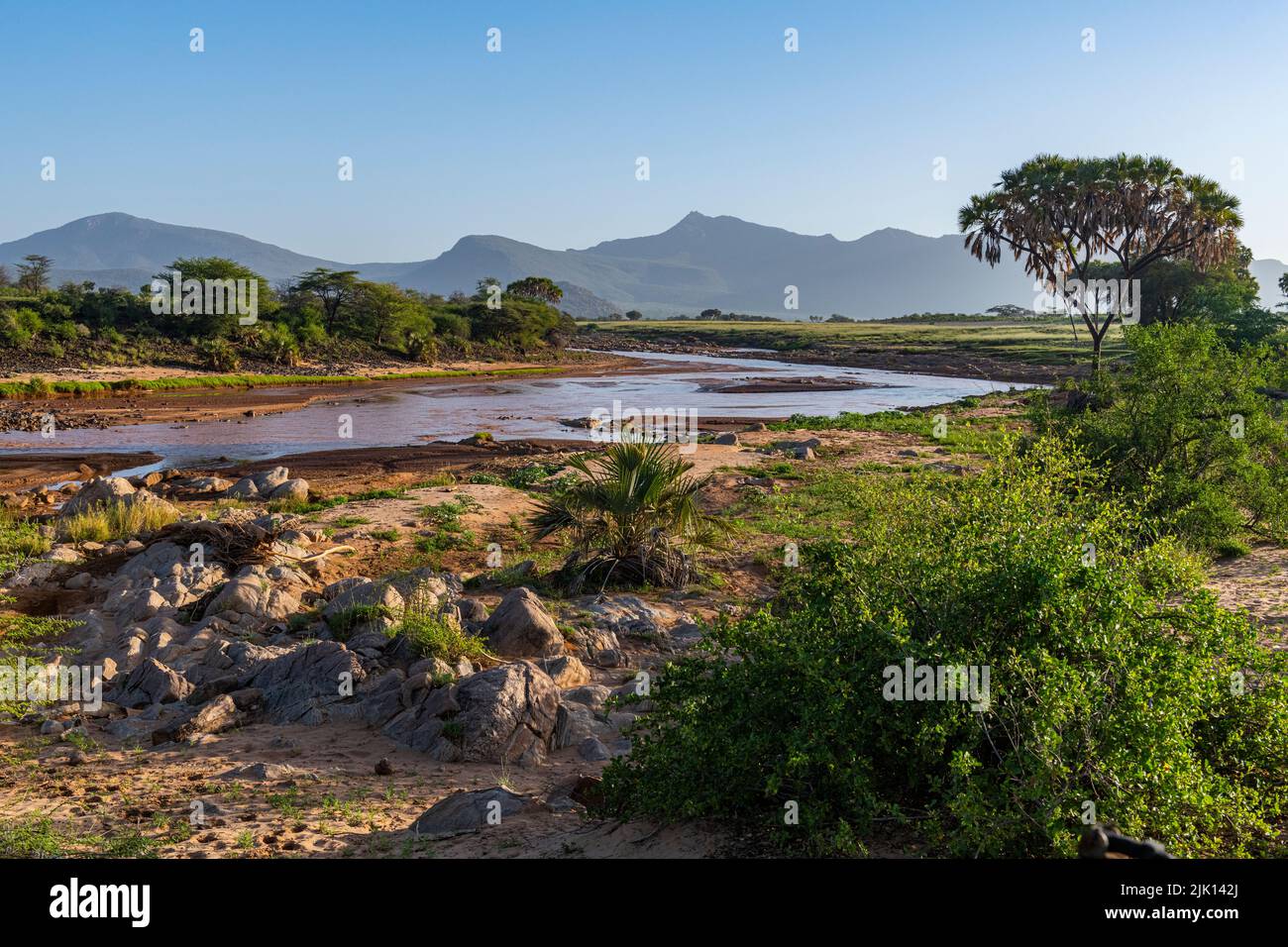 Rivière Ewaso ng'iro qui coule entre la réserve nationale de Buffalo Springs et le parc national de Samburu, Kenya Banque D'Images