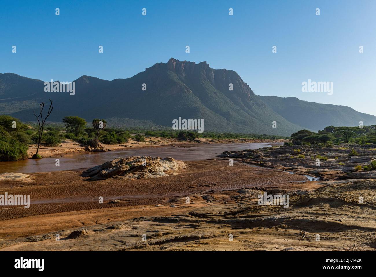 Rivière Ewaso ng'iro traversant la réserve de gibier de Shaba, parc national de Samburu, Kenya Banque D'Images