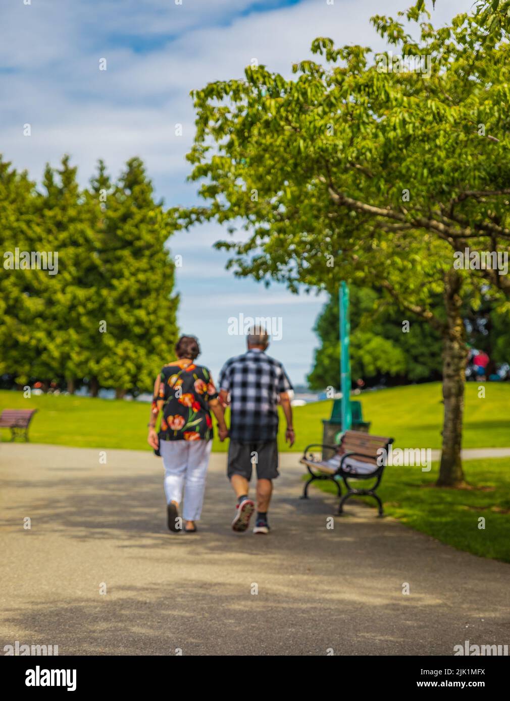 Couple senior sur une promenade dans le parc d'été. Image floue et floue d'un couple âgé qui marche en tenant les mains. Image floue. Couple senior actif sur un Banque D'Images