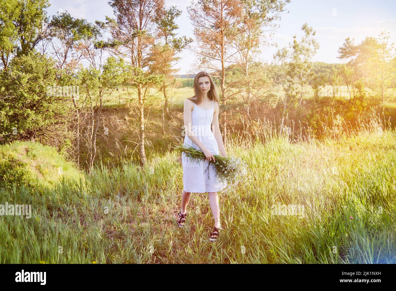 fille dans une robe blanche marche dans le champ Banque D'Images