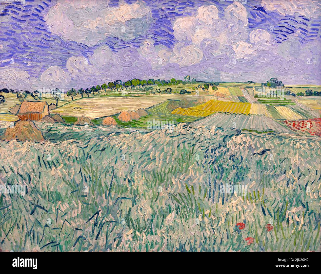 Plaine près d'Auvers, Vincent van Gogh, 1890, Neue Pinakothek, Munich, Allemagne, Europe Banque D'Images