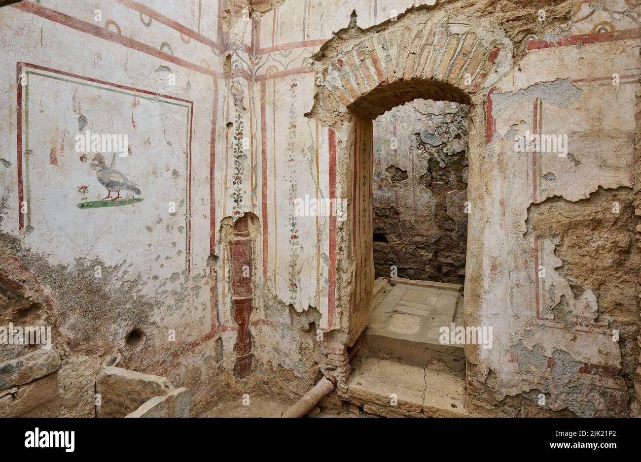 Intérieur terrasse Maisons d'Éphèse, site archéologique d'Éphèse, Selcuk, Turquie Banque D'Images