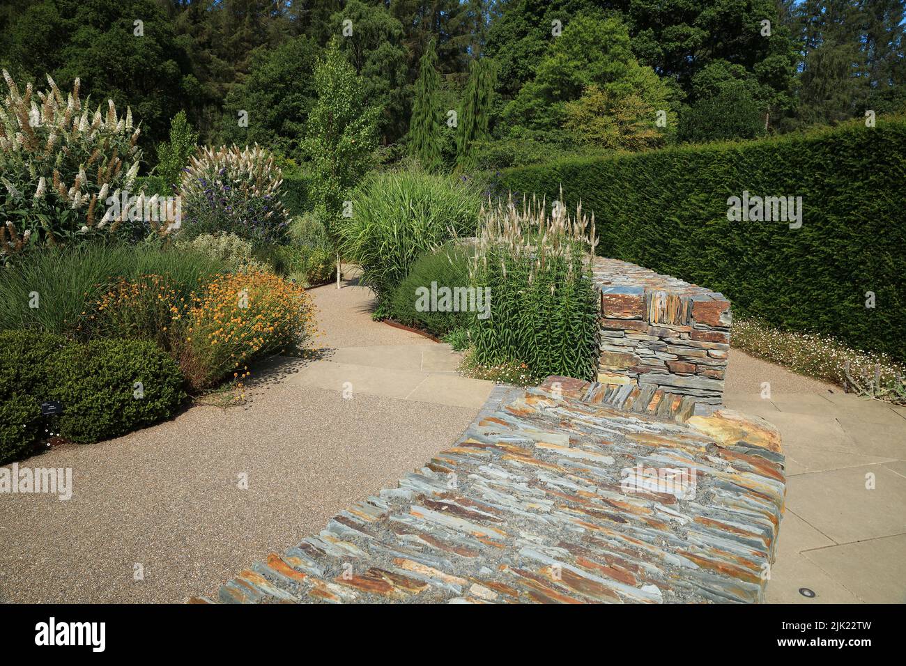 RHS Rosemoor 'Cool Garden', North Devon, Angleterre, Royaume-Uni Banque D'Images