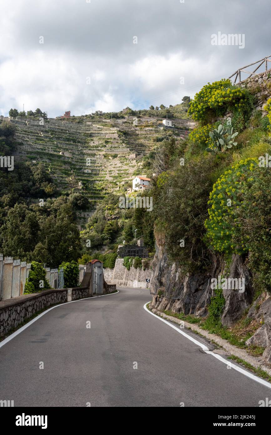 Une route tortueuse sur la côte amalfitaine, terrasses de citron au-dessus, le sud de l'Italie Banque D'Images