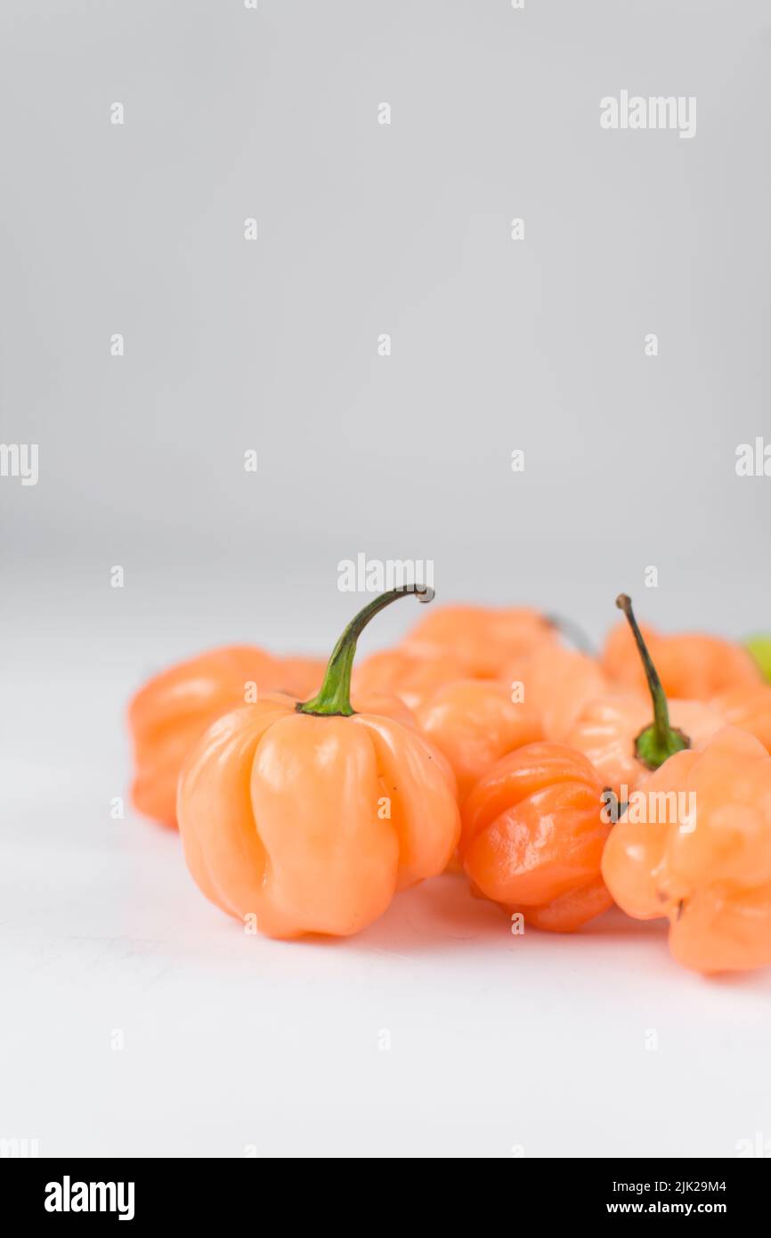 Un poivre de capot de scotch avec tige sur fond blanc, poivre frais, poivre de corail d'orange, poivre de capot de scotch nigérian Banque D'Images