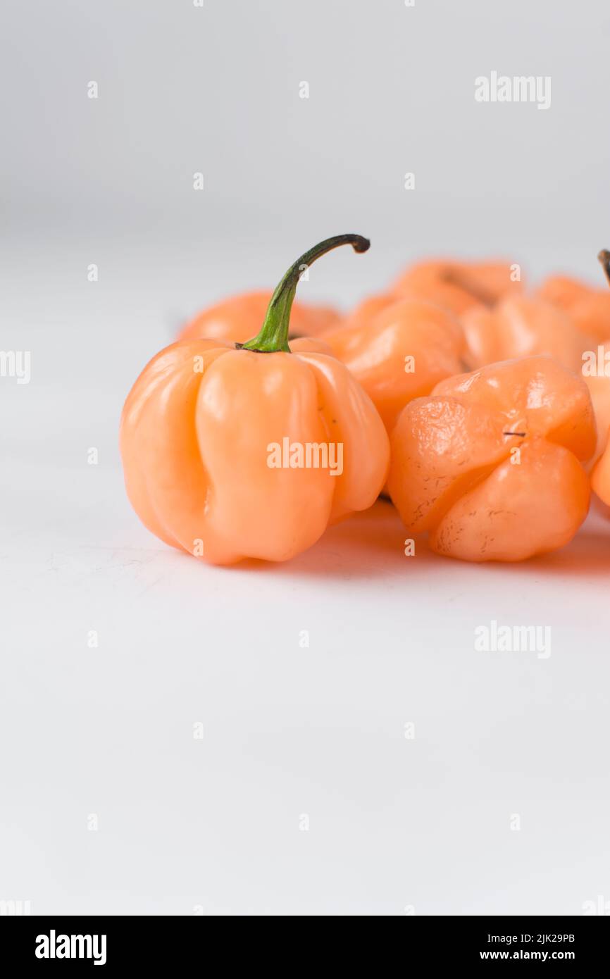 Un poivre de capot de scotch avec tige sur fond blanc, poivre frais, poivre de corail d'orange, poivre de capot de scotch nigérian Banque D'Images