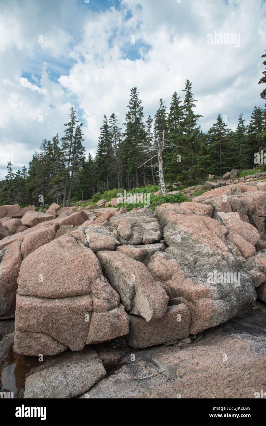 Blocs de granit altérés le long de la côte dans le parc national d'Acadia, Mount Desert Island, Maine, États-Unis Banque D'Images