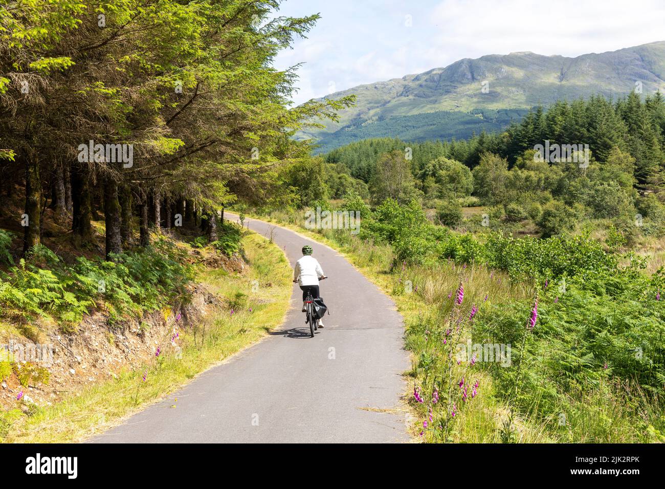 Scotland, Woman model libéré à vélo sur la route nationale de vélo Caledonia Way 78 près de Glencoe, Scottish Highlands, jour ensoleillé été 2022 Banque D'Images