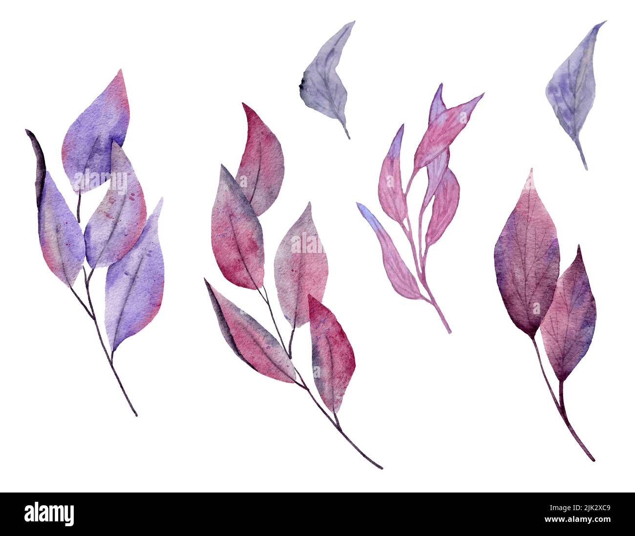 Aquarelle dessin à la main de feuille rose pourpre de feuilles foncées. Bois de forêt halloween herbes, sorcellerie mystique concept magique, élégant automne design Banque D'Images