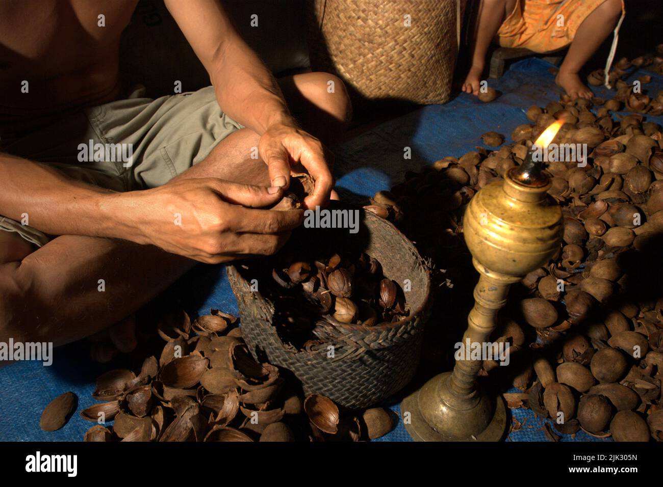 Un homme qui retire des coquilles de noix de suif Borneo (tengkawang) dans la maison de la communauté de Dayak Tamambaloh à Uluk Palin, Putussibau Utara, Kapuas Hulu, West Kalimantan, Indonésie. Banque D'Images