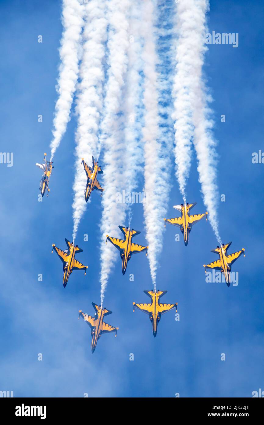 République de Corée les Aigles noirs de l'Armée de l'air Banque D'Images