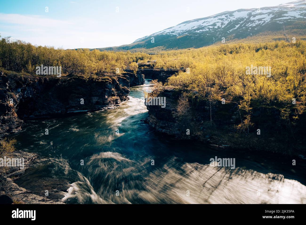 Rivière traversant le canyon entouré d'arbres et de montagnes Banque D'Images